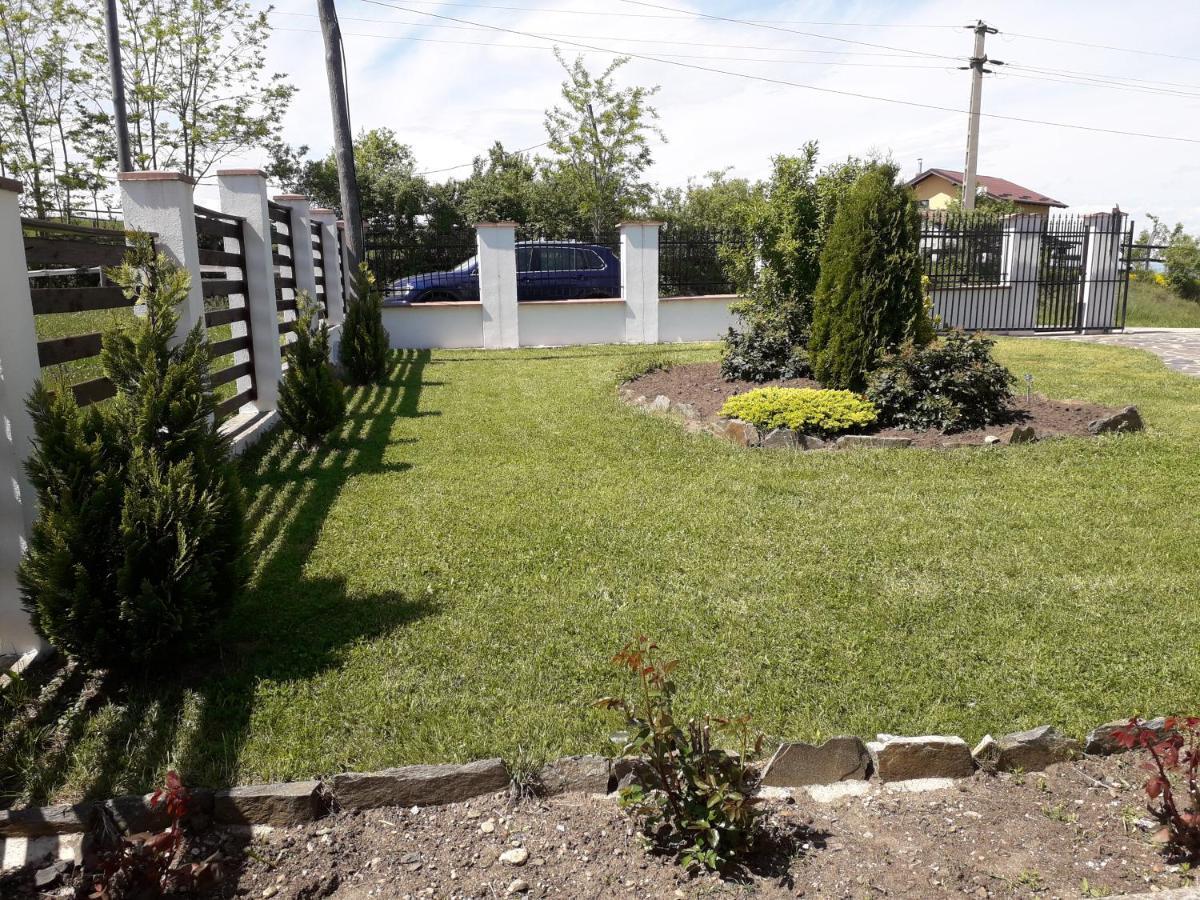 Sebeş Vila Aloman מראה חיצוני תמונה