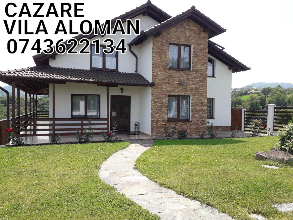Sebeş Vila Aloman מראה חיצוני תמונה