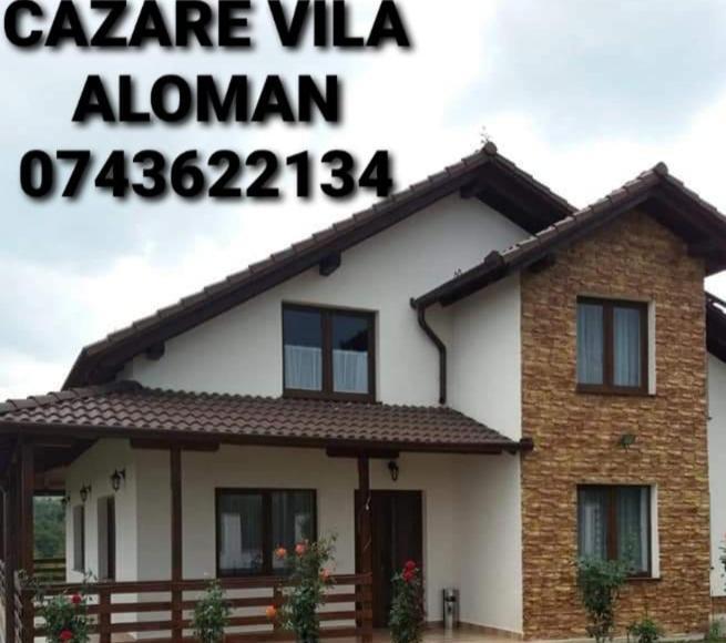 Sebeş Vila Aloman חדר תמונה